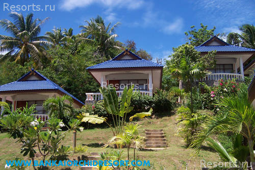 Bankai Orchid Resort 28